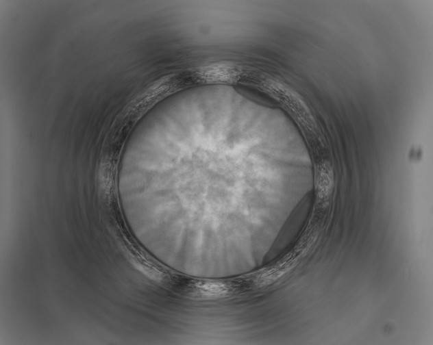 X0000097610409200803281018