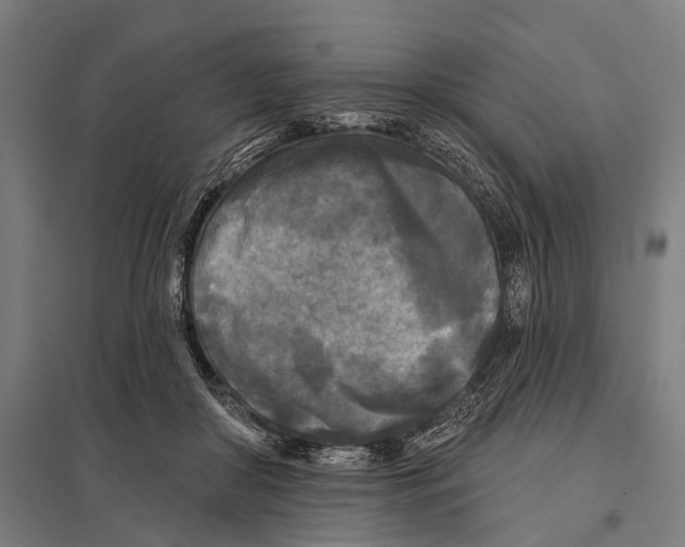 X0000097610410200803281018