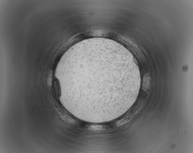 X0000097610413200803281018