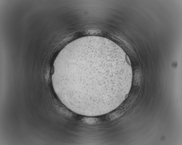 X0000097610417200803281018