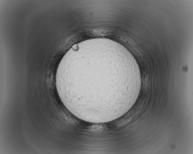 X0000097610418200803281018