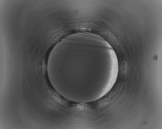 X0000097610420200803281018