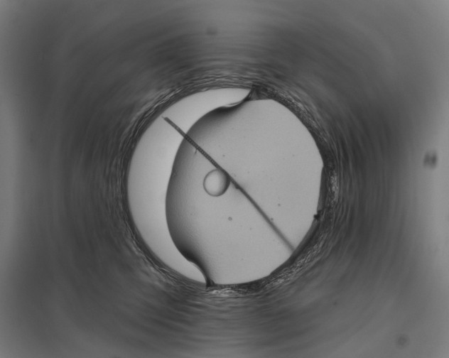 X0000097610423200803281018