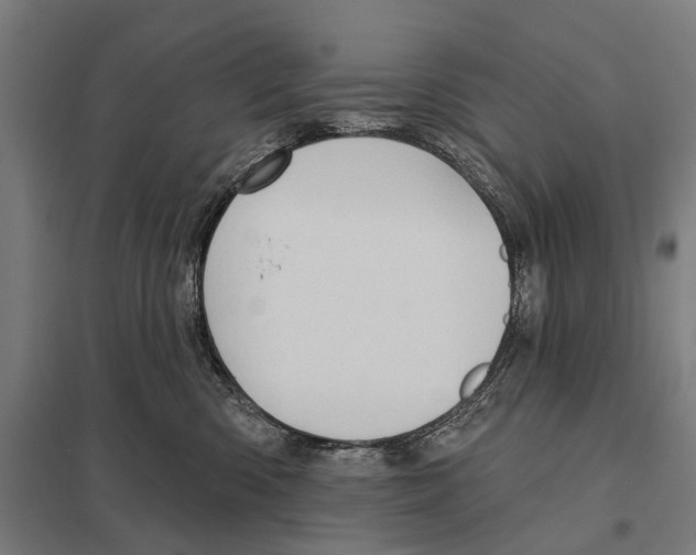 X0000097610426200803281018