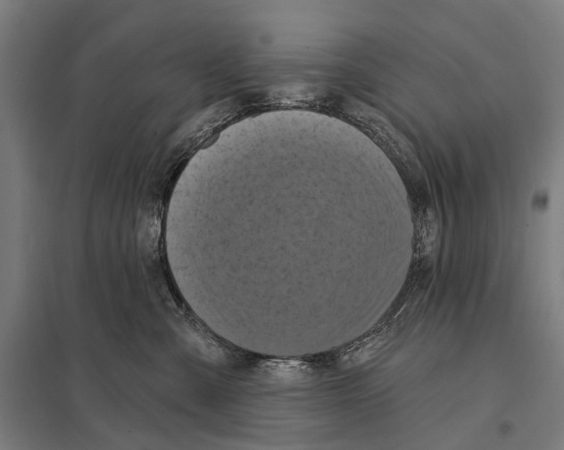 X0000097610427200803281018