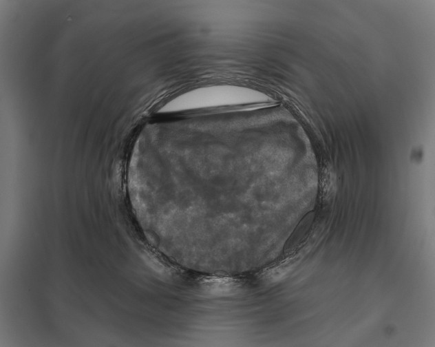 X0000097610428200803281018