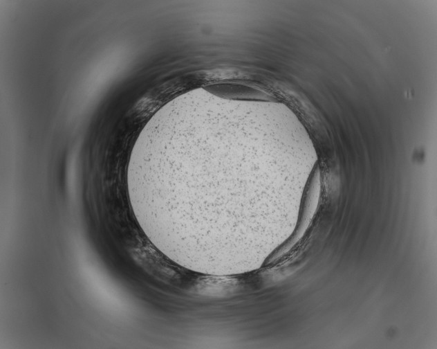 X0000097610429200803281018