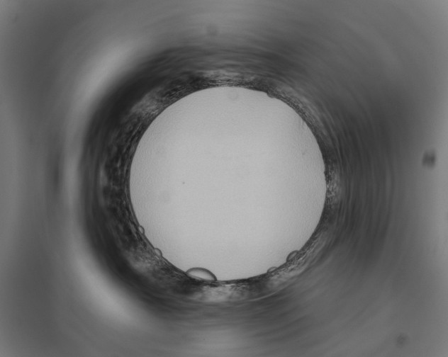 X0000097610430200803281018