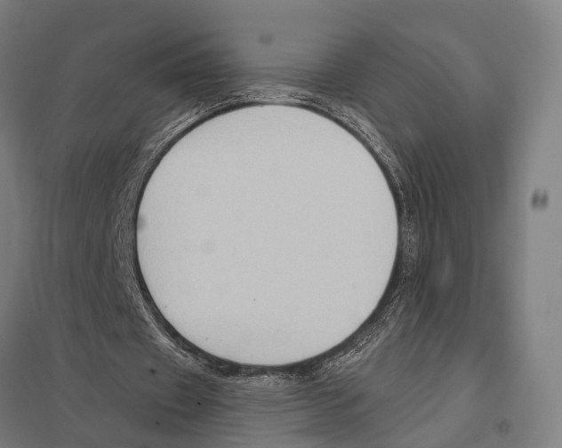 X0000097610433200803281017