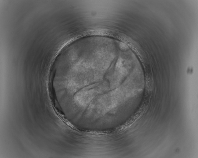 X0000097610434200803281017