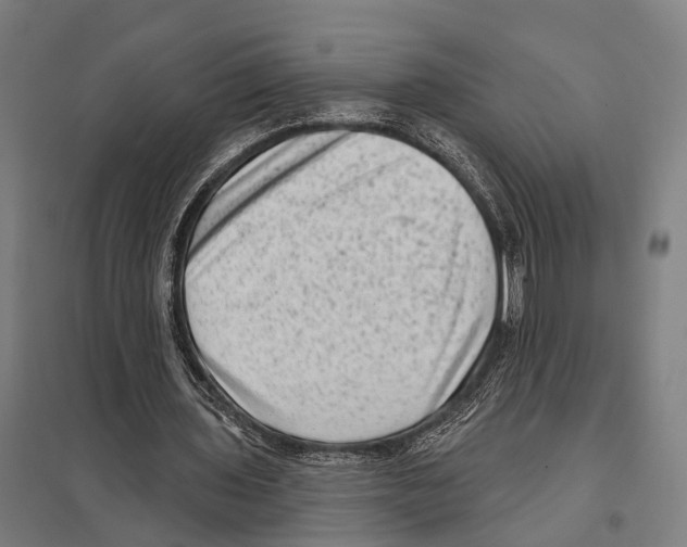 X0000097610435200803281017