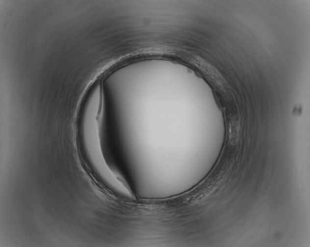 X0000097610436200803281017