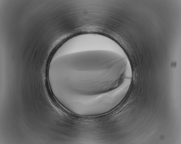 X0000097610438200803281017