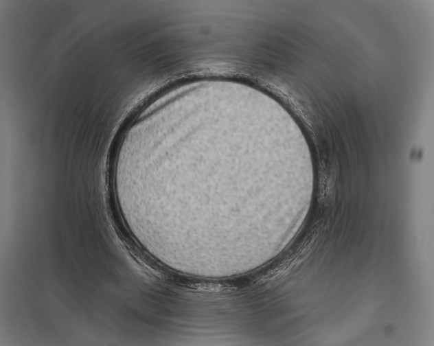 X0000097610439200803281017