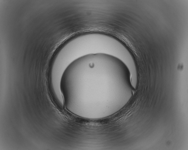 X0000097610444200803281017