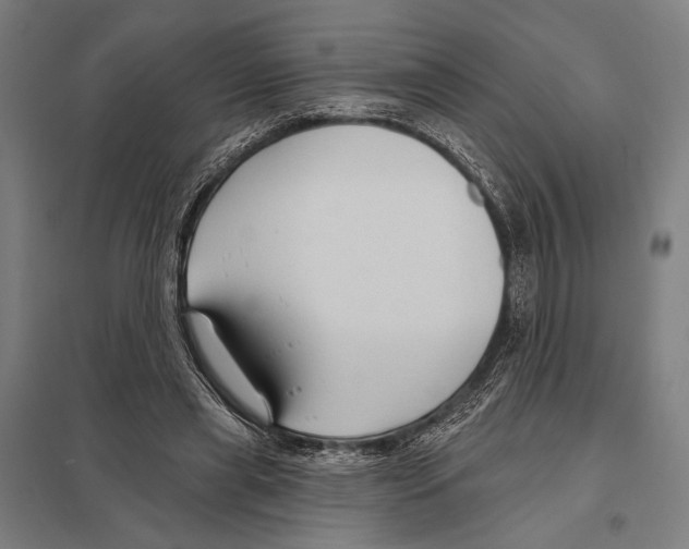 X0000097610445200803281017