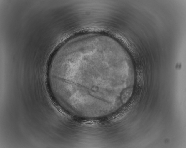 X0000097610447200803281017