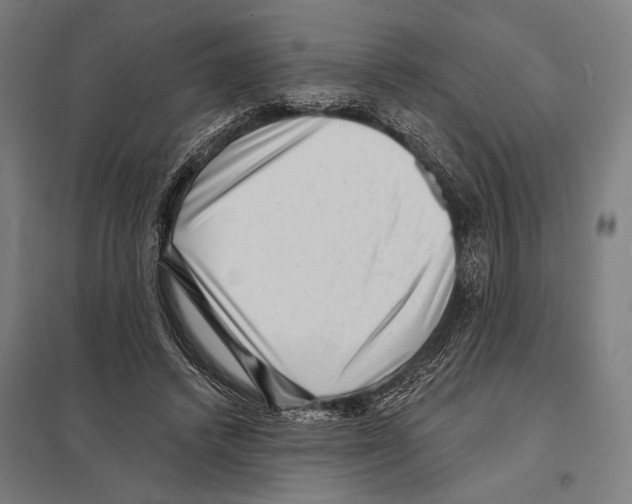 X0000097610448200803281017