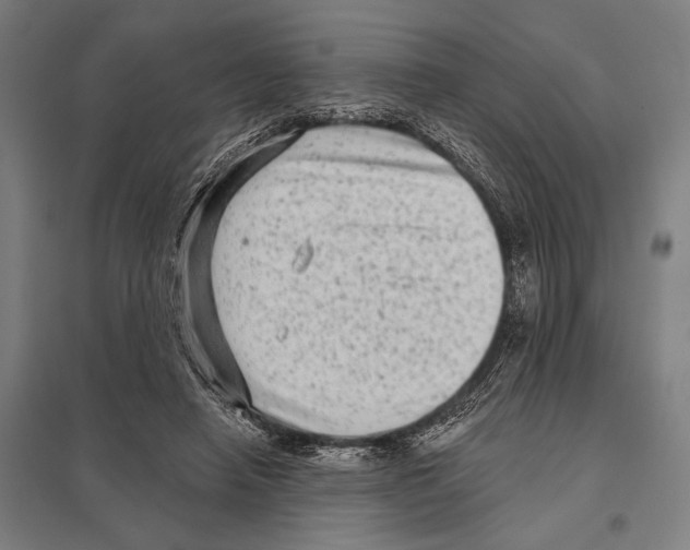 X0000097610450200803281017