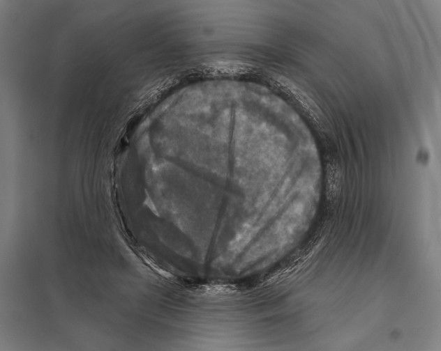 X0000097610451200803281017