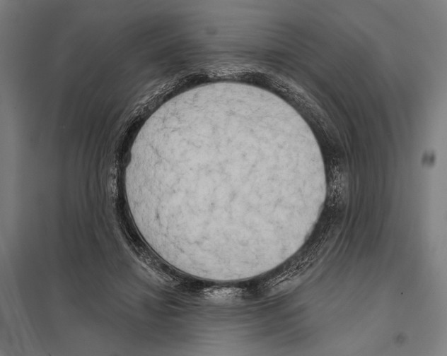 X0000097610452200803281017