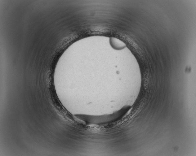 X0000097610455200803281017