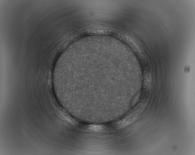 X0000097610457200803281017