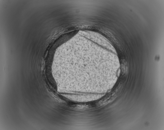 X0000097610458200803281017