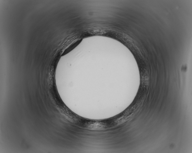 X0000097610460200803281017