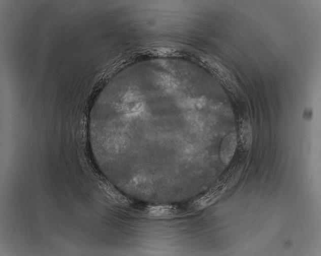 X0000097610461200803281017