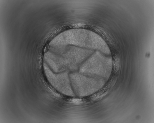 X0000097610462200803281017