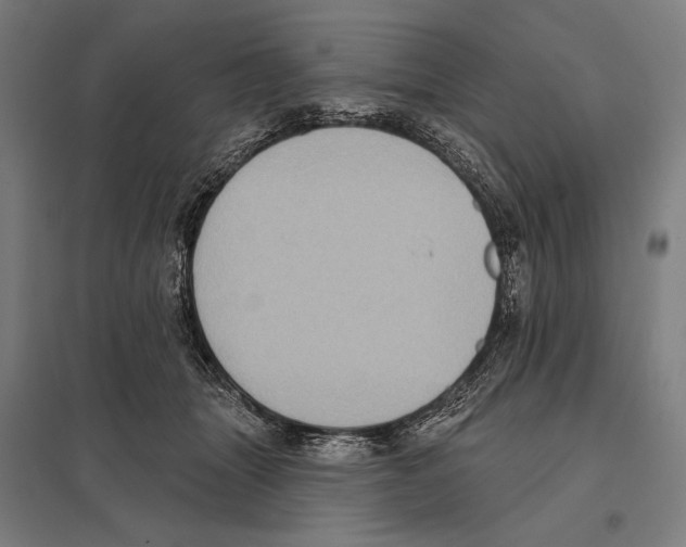 X0000097610463200803281017