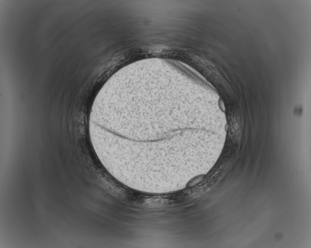 X0000097610470200803281018