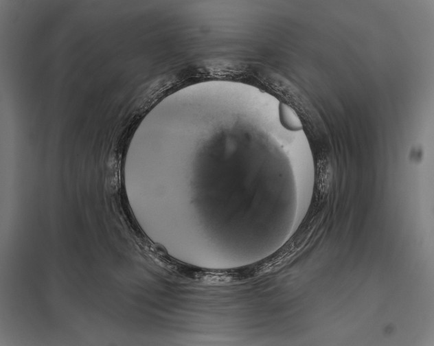 X0000097610471200803281018