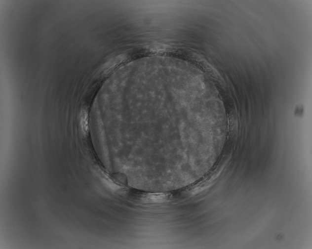 X0000097610479200803281018