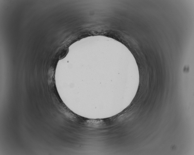 X0000097610480200803281018