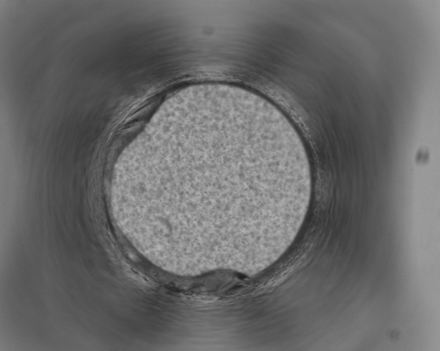 X0000097610481200803281017