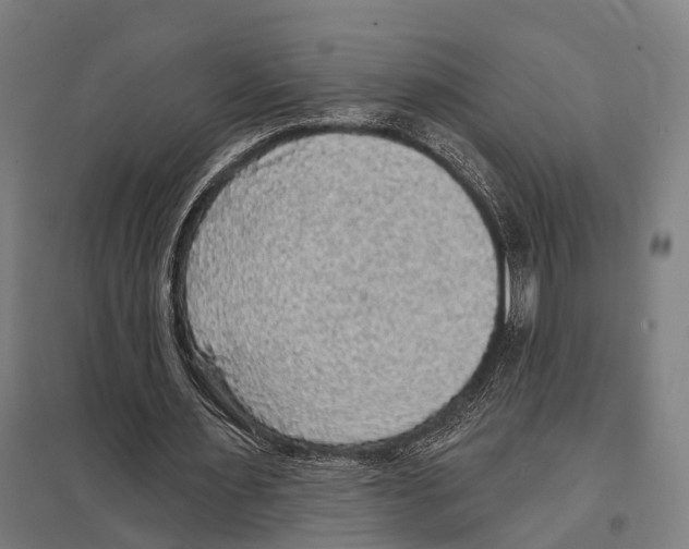 X0000097610483200803281017