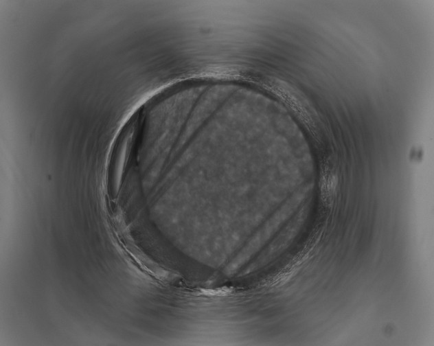 X0000097610484200803281017