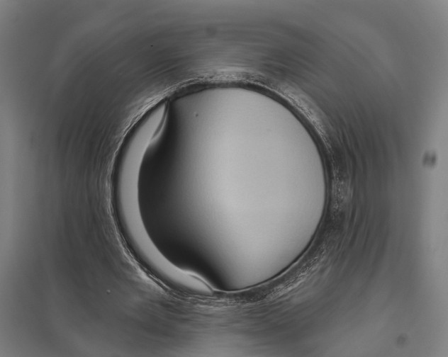 X0000097610485200803281017