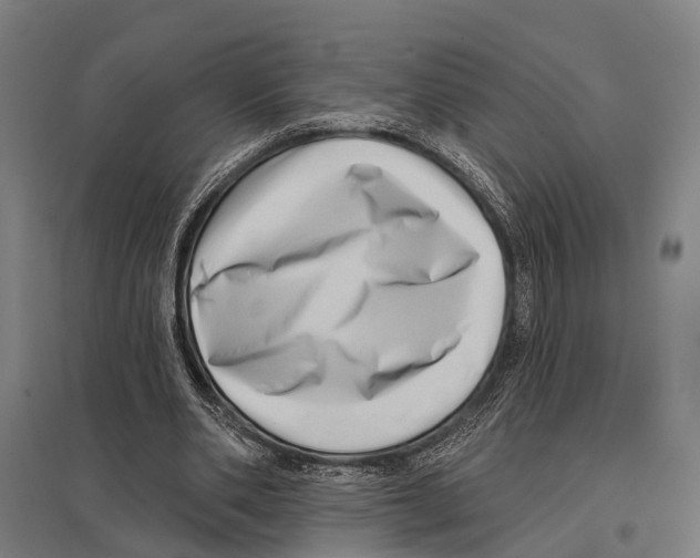 X0000097610486200803281017