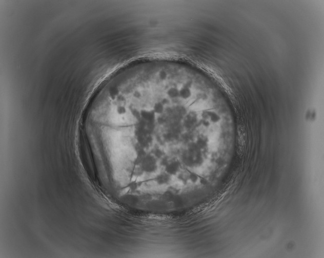 X0000097610487200803281017