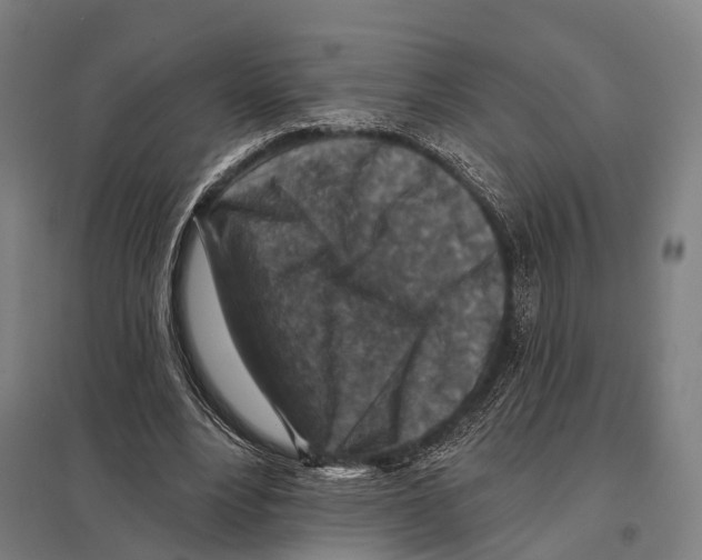 X0000097610488200803281017