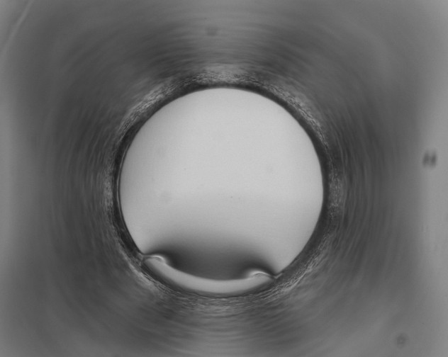 X0000097610489200803281017