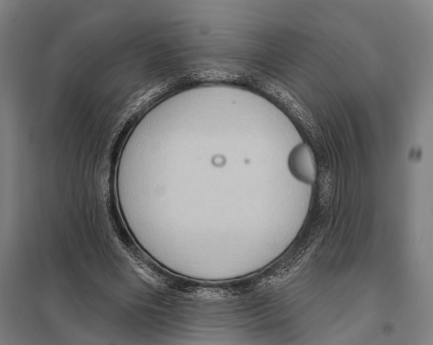 X0000097610490200803281017