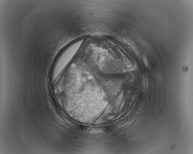 X0000097610491200803281017