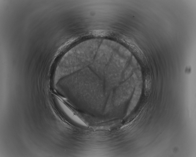 X0000097610492200803281017