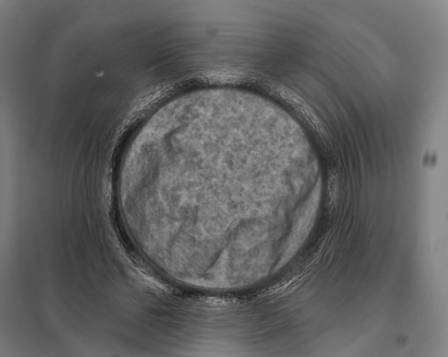 X0000097610494200803281017