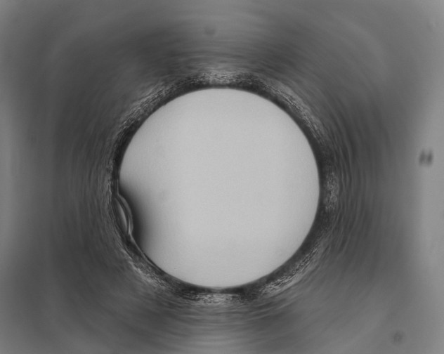 X0000097610497200803281017