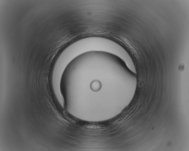 X0000097610500200803281017